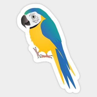 Funny blue and yellow macaw Sticker